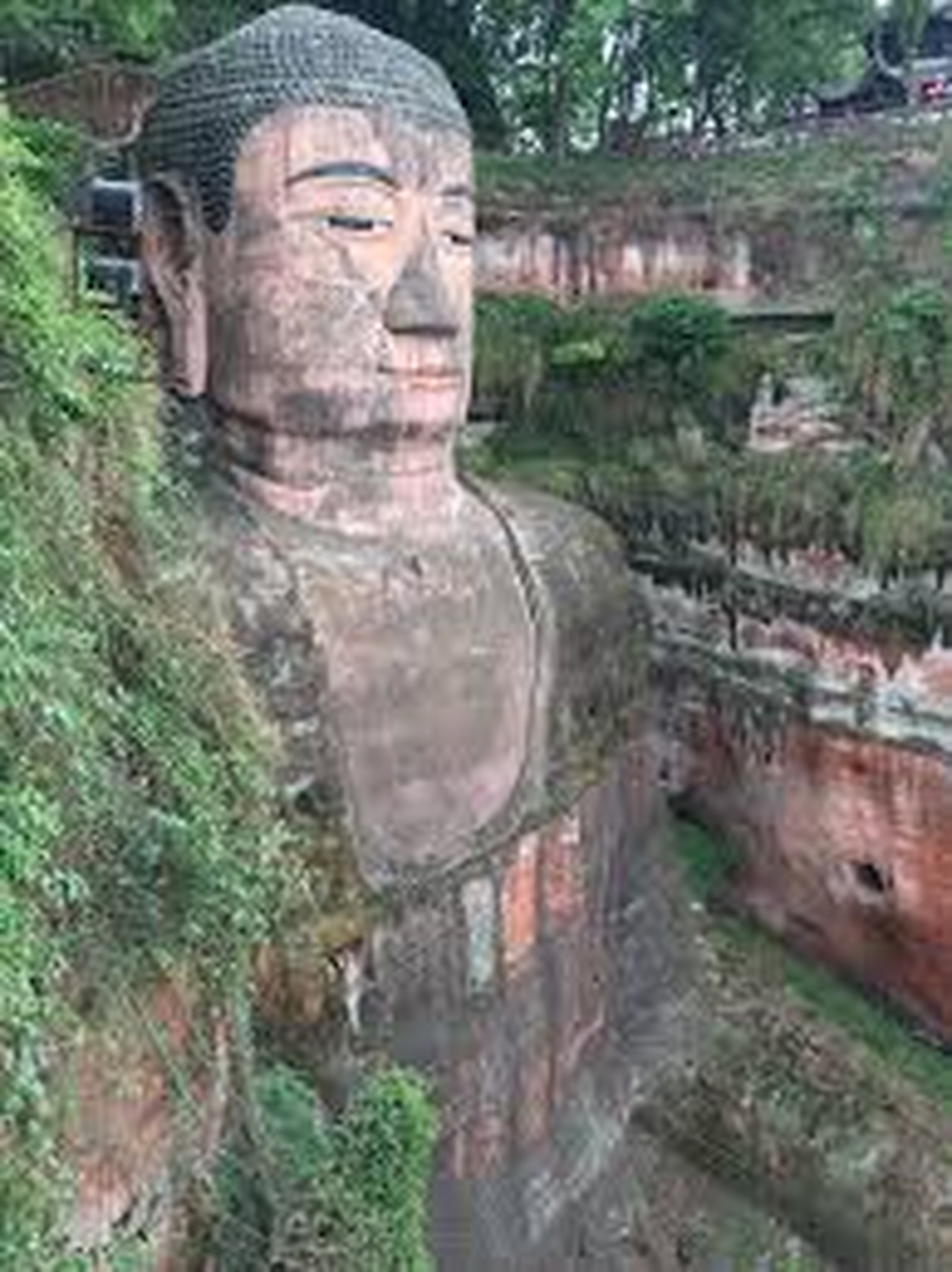 Panda, Leshan e Monte Emei
