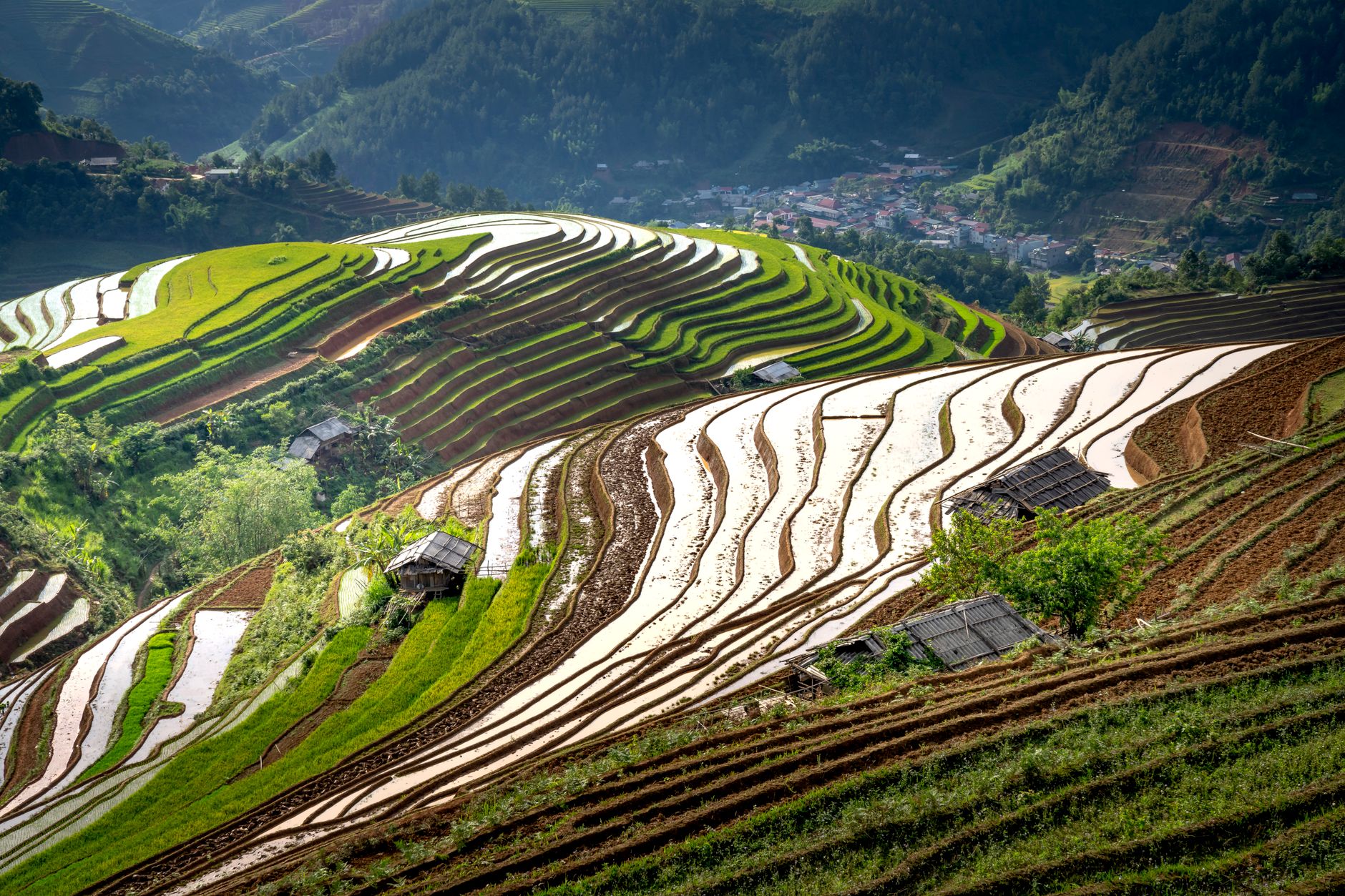 Longji