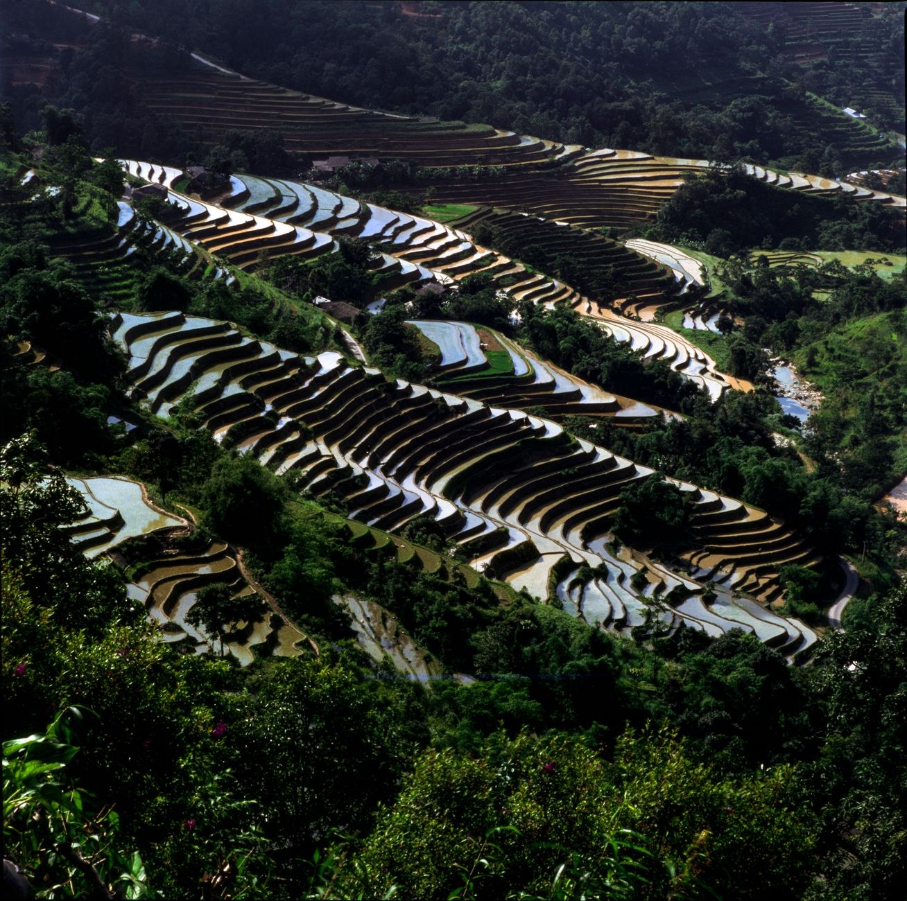 Yuanyang